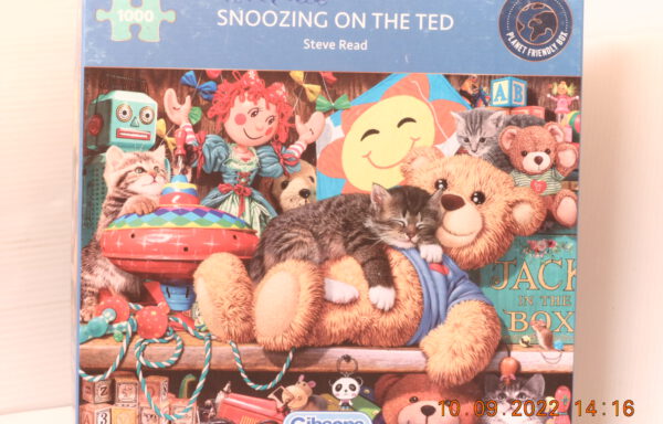 snoozing on the ted