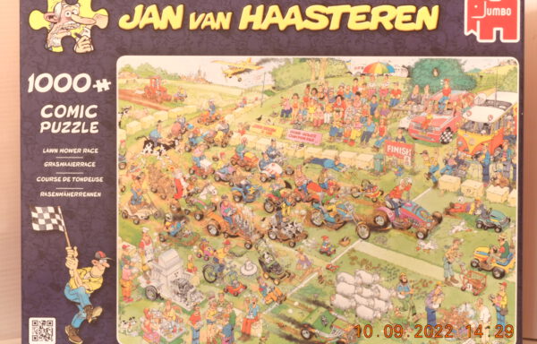19021 lawnmowerrace